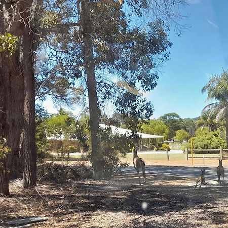 Motel 101 Oatlands Mount Barker Zewnętrze zdjęcie