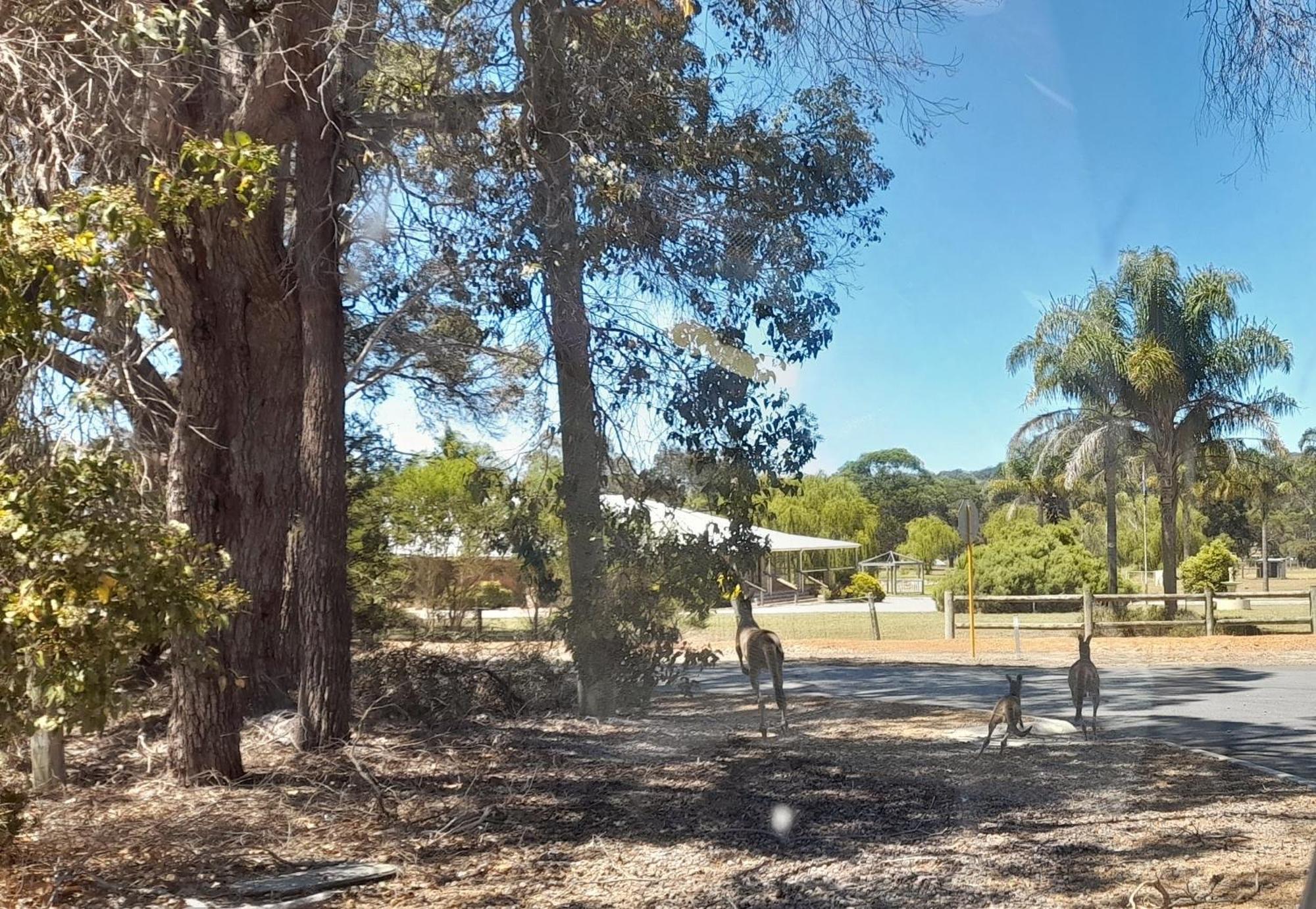 Motel 101 Oatlands Mount Barker Zewnętrze zdjęcie